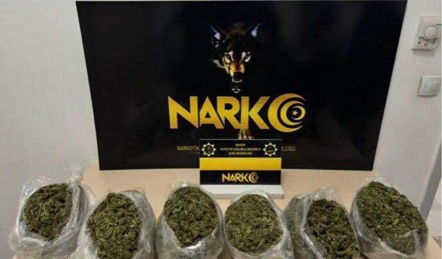 Kızıltepe’de 3,3 Kg skunk ele geçirildi
