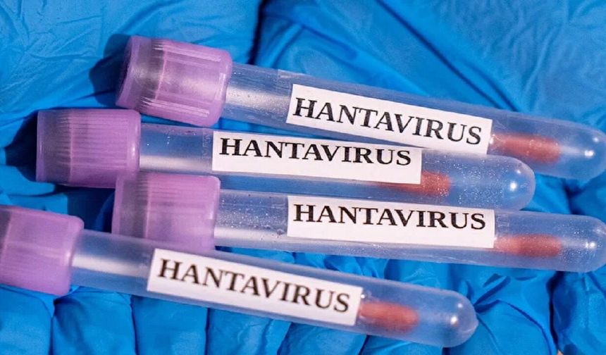 Hantavirüs nedir? Belirtileri ve tedavi yöntemleri nelerdir?