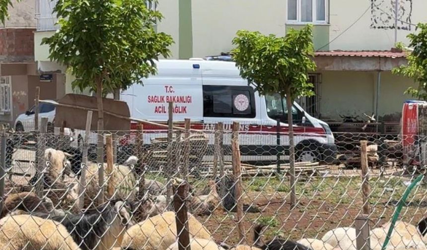 Kasaplardan Kurban Bayramı öncesi 'acemilik' uyarısı