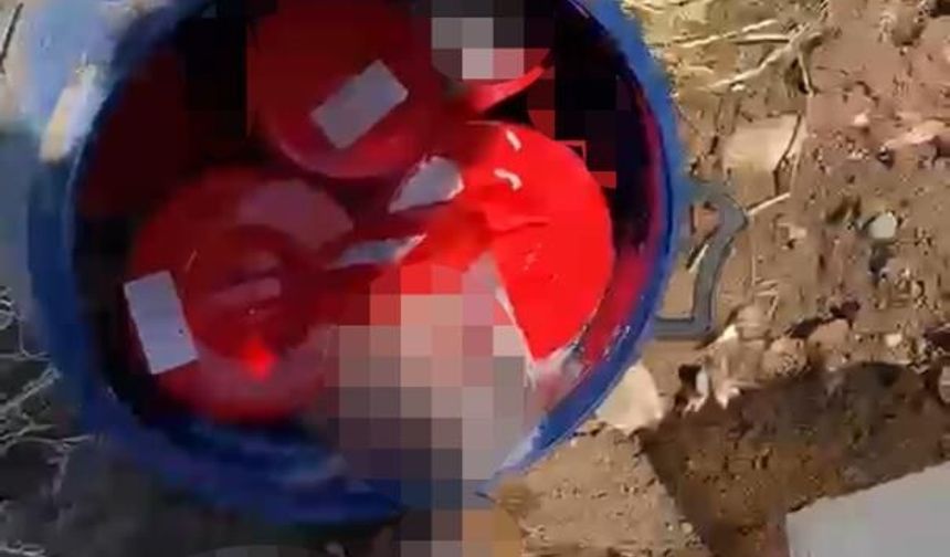 İhbarla ortaya çıktı: Mezarlıkta 21 insan cenini bulundu