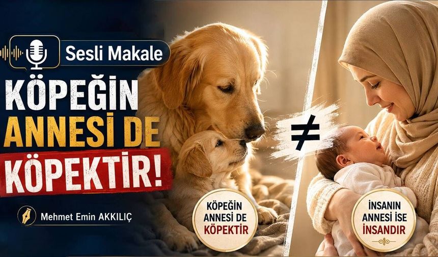 KÖPEĞİN ANNESİ DE KÖPEKTİR!