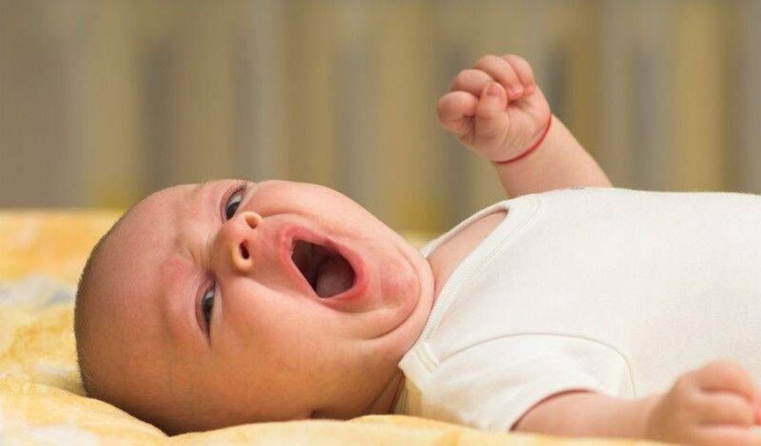 Esneme beyni temizleyen doğal mekanizma olabilir