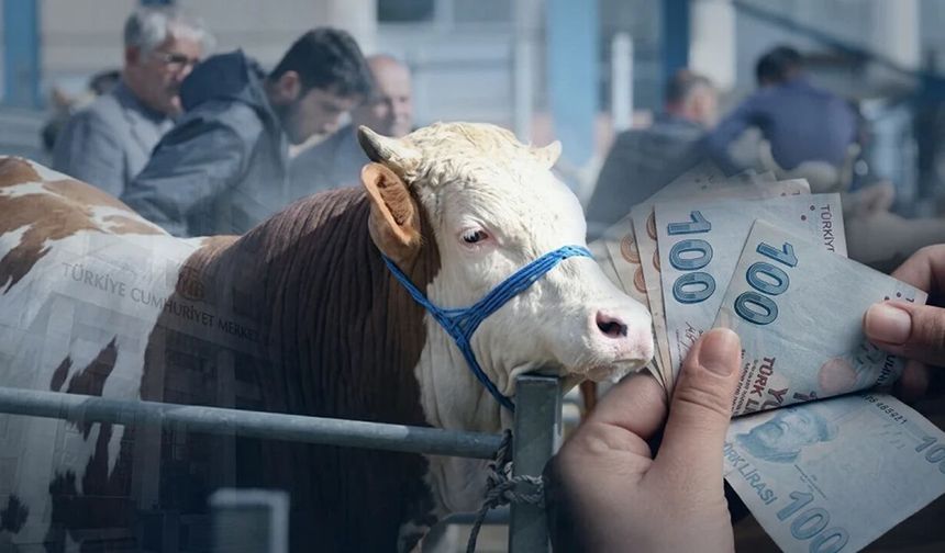 Diyarbakır'da kurban pazarlarına sahte para alarmı