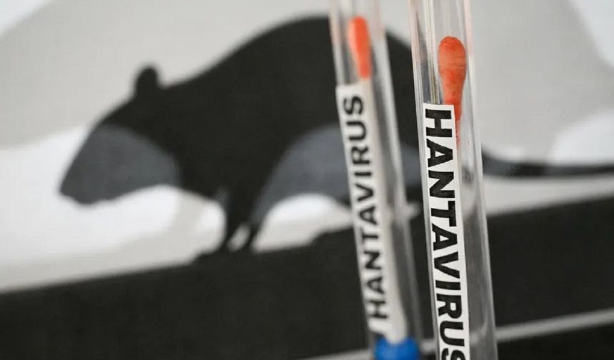 Sağlık Bakanlığı: Türkiye’de hantavirüs pozitif vakası tespit edilmedi
