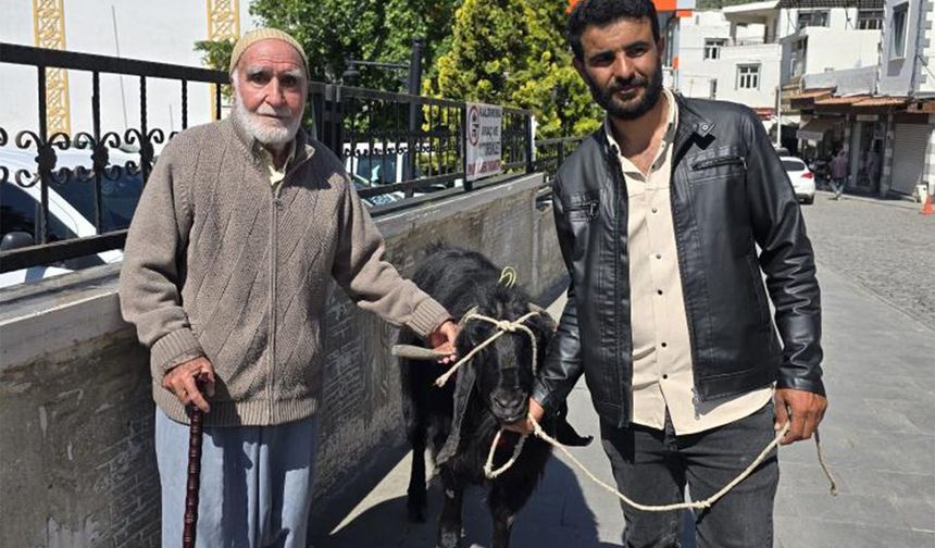 Diyarbakır'da 70 kiloluk dev keçi 36 bin liraya satıldı