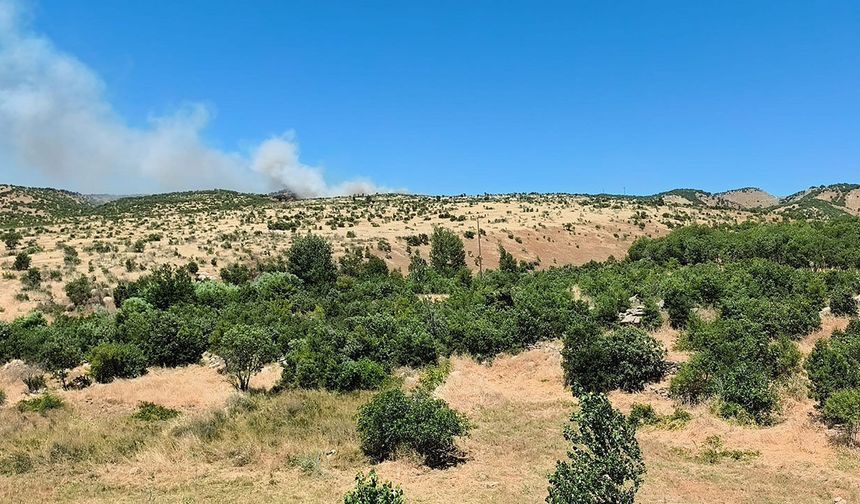 Diyarbakır'da ağaçlık alanda yangın