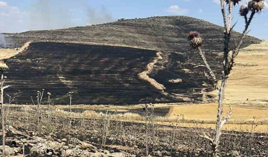 Diyarbakır'da yüzlerce dönüm ekili alan kül oldu