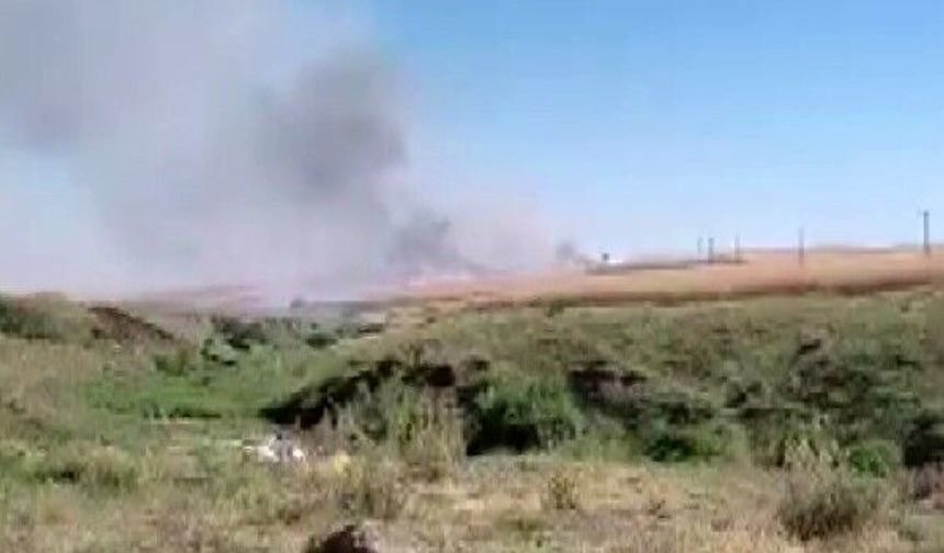 Biçerdöverden çıkan kıvılcım 150 dönümlük alanı kül etti