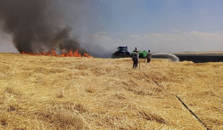 Diyarbakır'da yüzlerce dönüm arazi alevlere teslim oldu