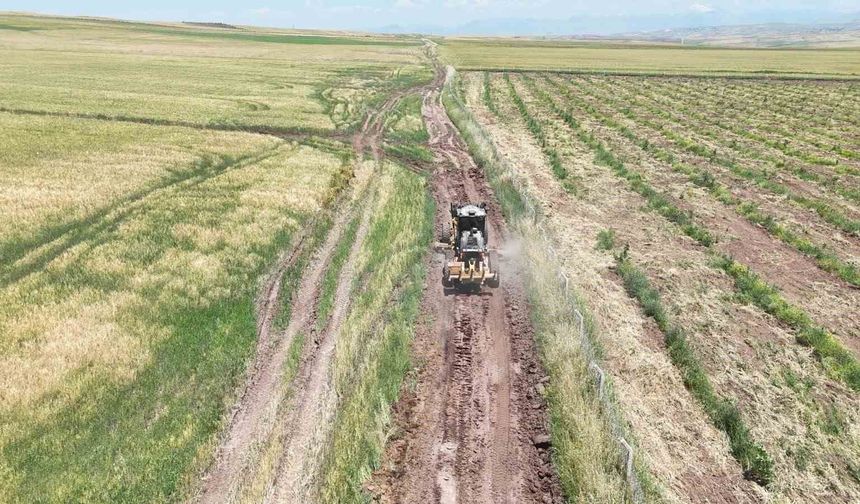 Hasat dönemi öncesi Siirt'te arazi yollarında bakım seferberliği