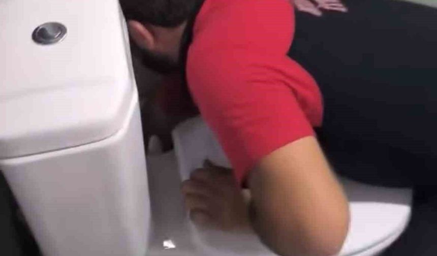 Siirt'te 2 yavru kedi sıkıştıkları yerden kurtarıldı