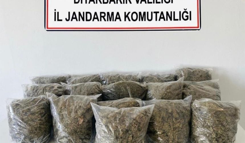 Diyarbakır'da 38,5 kilo esrar ele geçirildi
