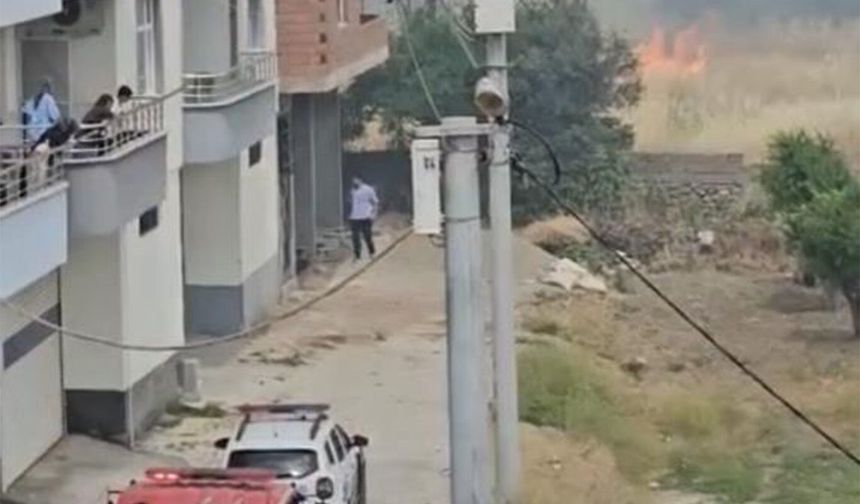 Diyarbakır'da çıkan anız yangını paniğe neden oldu