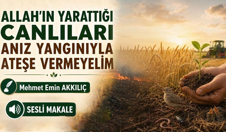 ALLAH'IN YARATTIĞI CANLILARI ANIZ YANGINIYLA ATEŞE VERMEYELİM