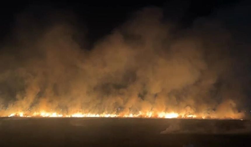 Diyarbakır'da anız yangını geceyi aydınlattı