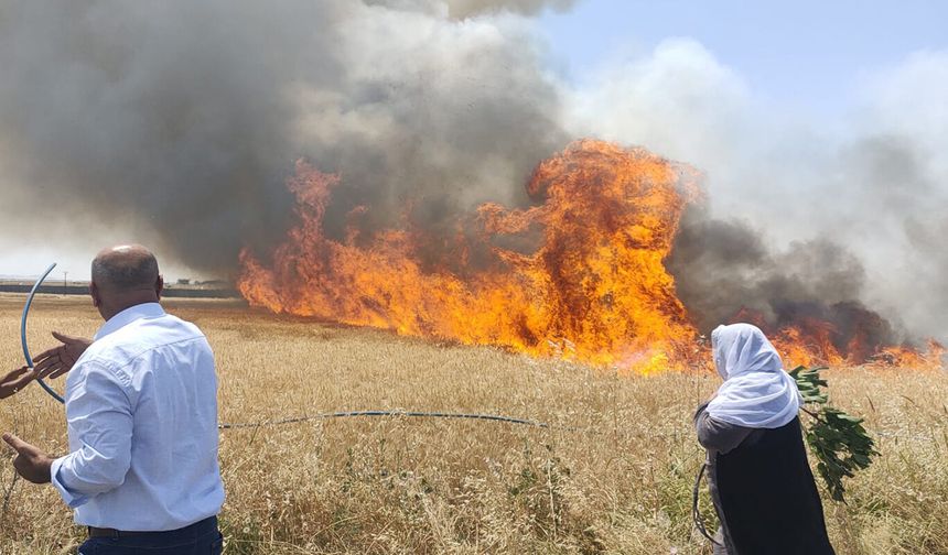 Diyarbakır'da buğday tarlası alevlere teslim oldu