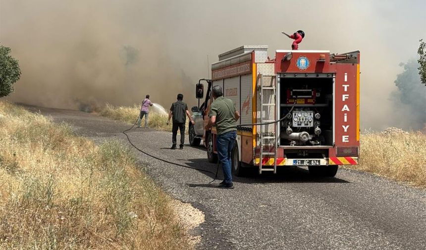 Diyarbakır'da yüzlerce dönüm buğday tarlası kül oldu