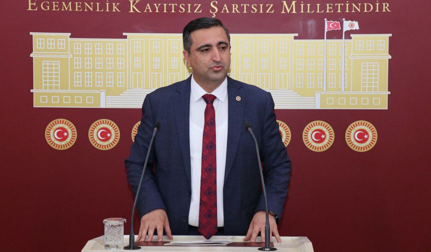 Ramanlı’dan Bakan Tekin'e 'anadilde eğitim' sorusu