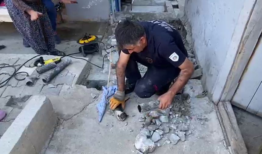 Su tahliye borusunda mahsur kalan yavru kedi kurtarıldı