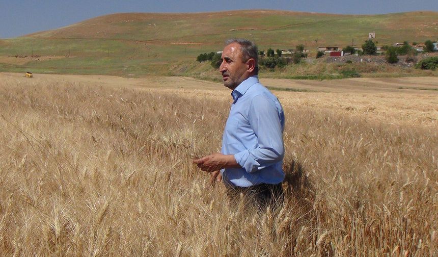 Tarla yangınlarına karşı HÜDA PAR'dan dikkat çeken açıklama
