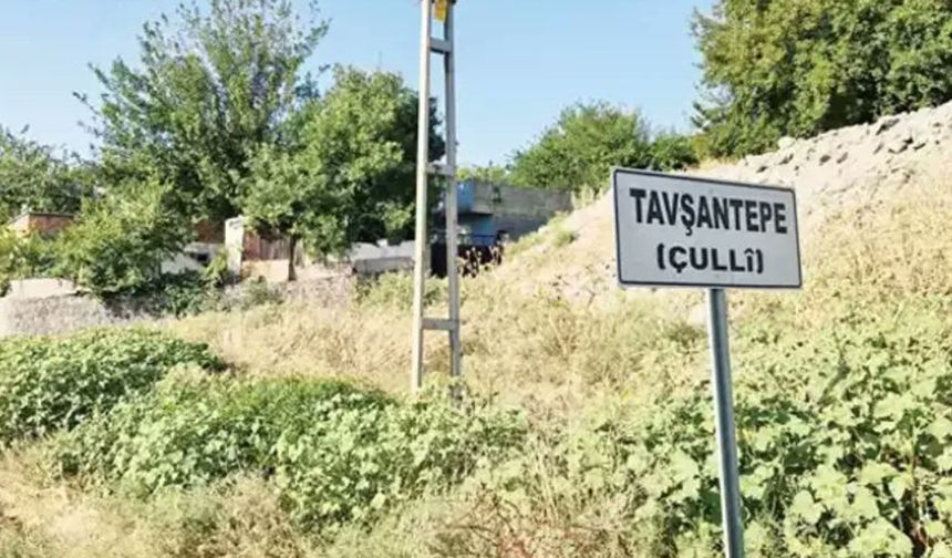 Diyarbakır'da muhtarlık için ara seçim