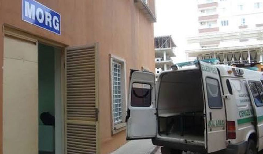 TÜİK, Türkiye'de en çok ölüme neden olan 6 hastalığı açıkladı
