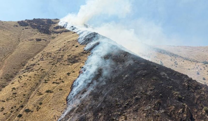 100 dönümlük alan kül oldu: Sigara izmariti iddiası