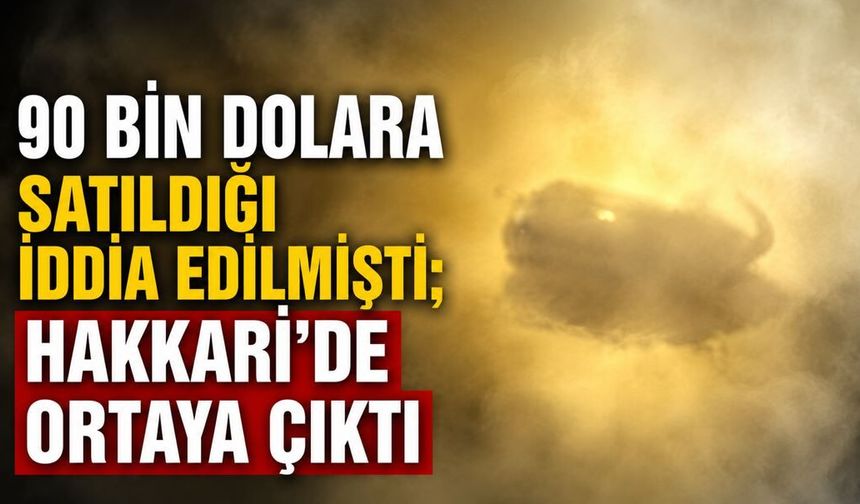 90 bin dolara satıldığı iddia edilmişti; Hakkari'de ortaya çıktı