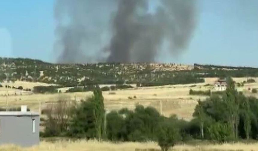 Diyarbakır'da ağaçlık alanda yangın