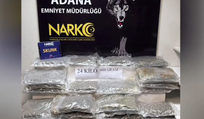 Adana'da 24,6 kilo skunk ele geçirildi