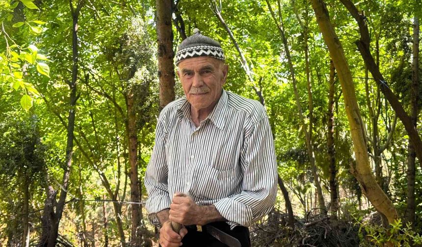 31 yılda 25 bin ağaç dikerek, kurak araziyi oksijen sahası yaptı