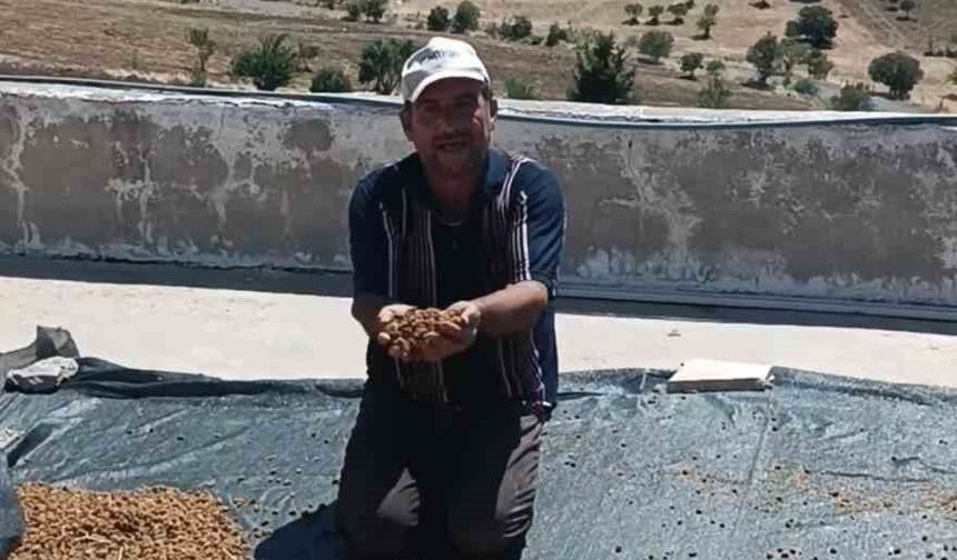 Çermik'te dutlar pazardaki yerini aldı