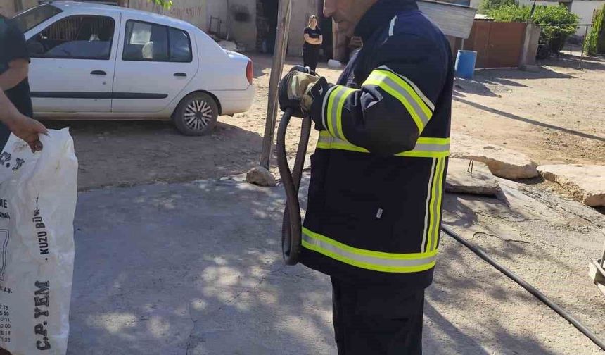 Diyarbakır'da bir evde yaklaşık 2 metre uzunluğunda yılan çıktı
