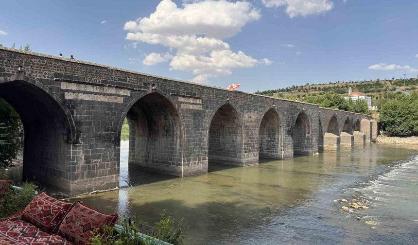 Diyarbakır'ın sembollerindendi: Sessizliğe bürüdü!