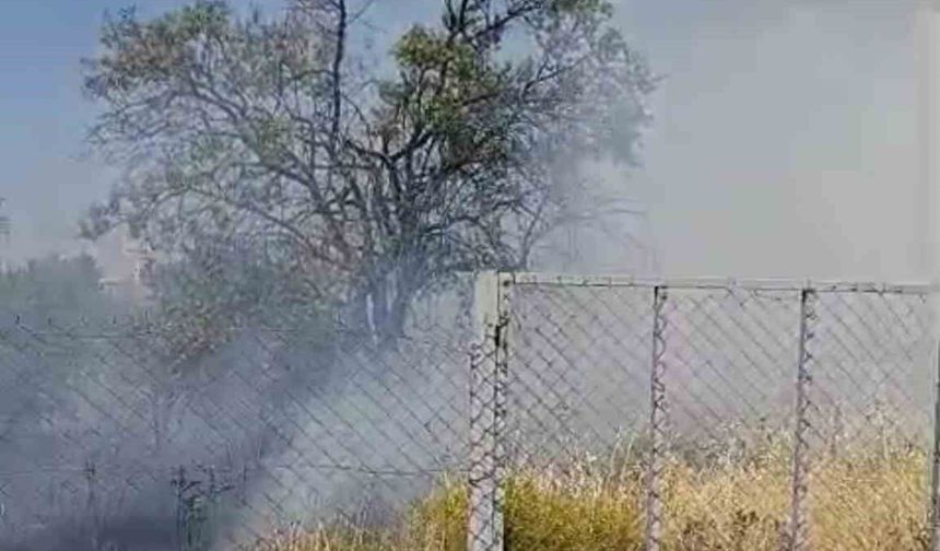 Siirt'te evin bahçesinde çıkan yangında meyve ağaçları kül oldu