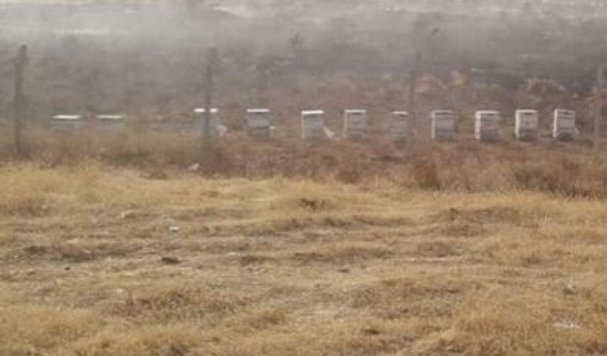 Bingöl’de 25 arı kovanı küle döndü