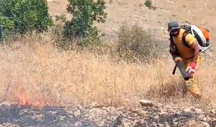 Diyarbakır'da örtü ve orman yangını