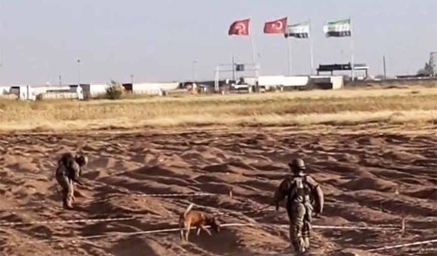 Öncüpınar Sınır Hattı'nda mayın temizleme çalışmaları sürüyor