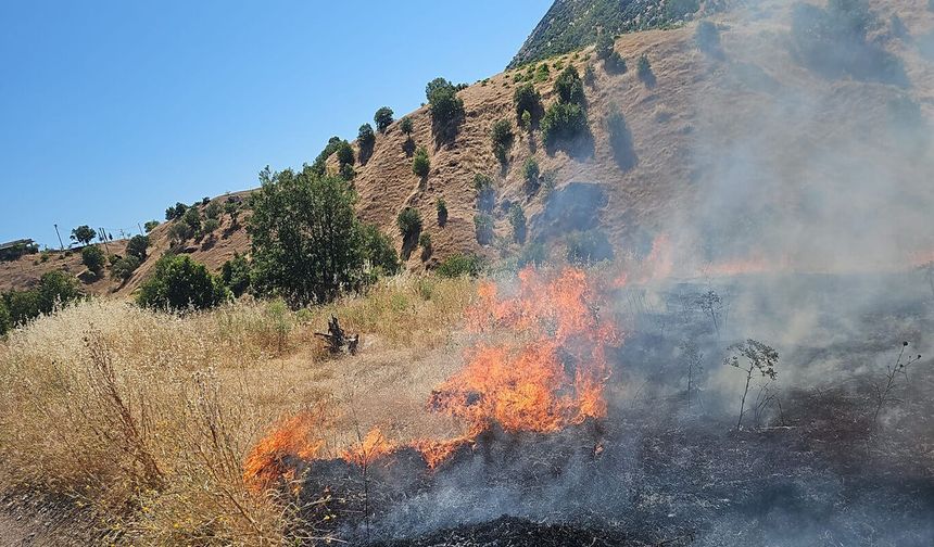 Diyarbakır'da ormanlık alanda yangın çıktı