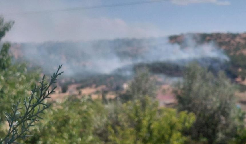 Diyarbakır'da örtü yangını: Onlarca dönüm alan yandı