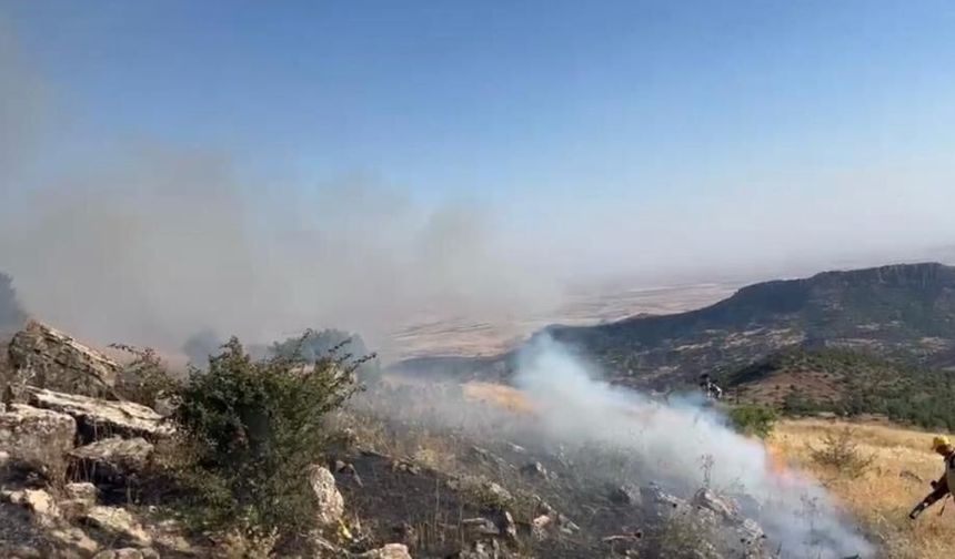 Diyarbakır'da örtü yangını söndürüldü