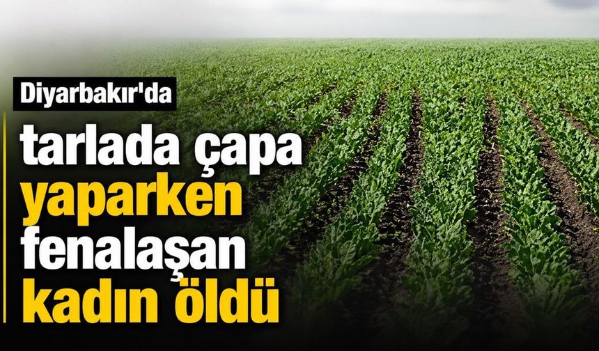 Diyarbakır'da tarlada çapa yaparken fenalaşan kadın öldü