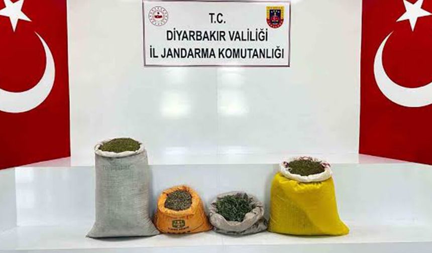 Diyarbakır'da 144 kilo esrar ele geçirildi