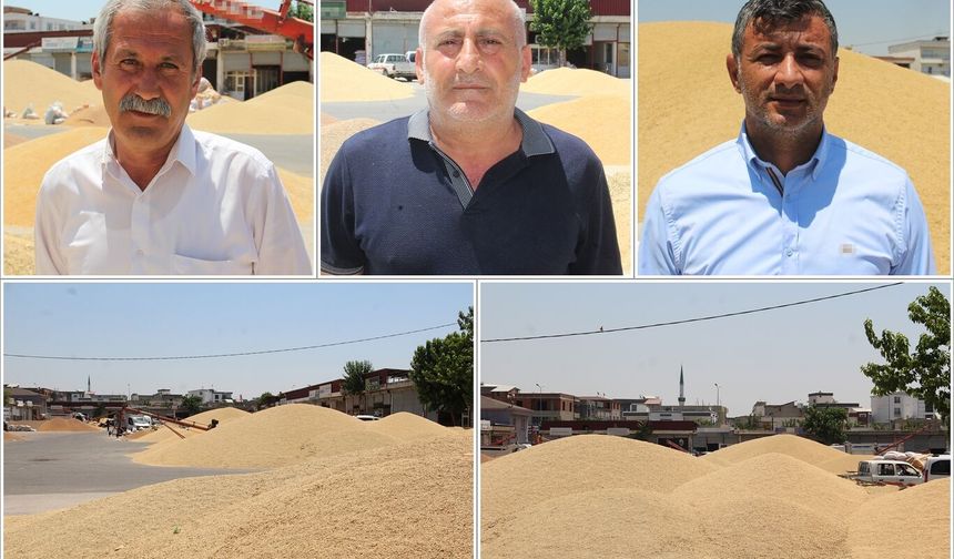 Üretici ve tüccardan TMO'ya "ÇKS" çağrısı
