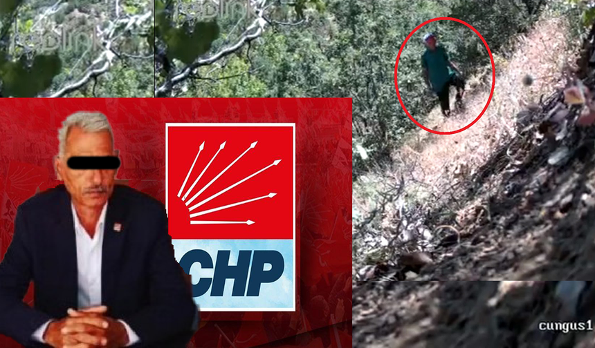 Diyarbakır'da CHP ilçe başkanı kenevir bakımı yaparken fotokapana yakalandı