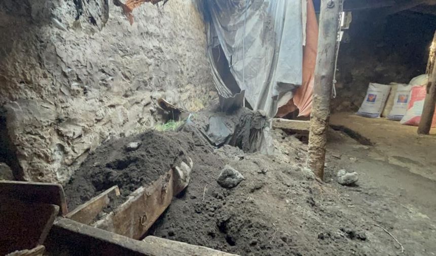 Kars'ta sağanak yağış ahırı çökertti