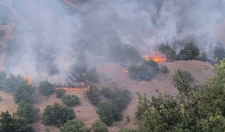 Malatya'da tüm uyarılara rağmen 62 yangın çıktı