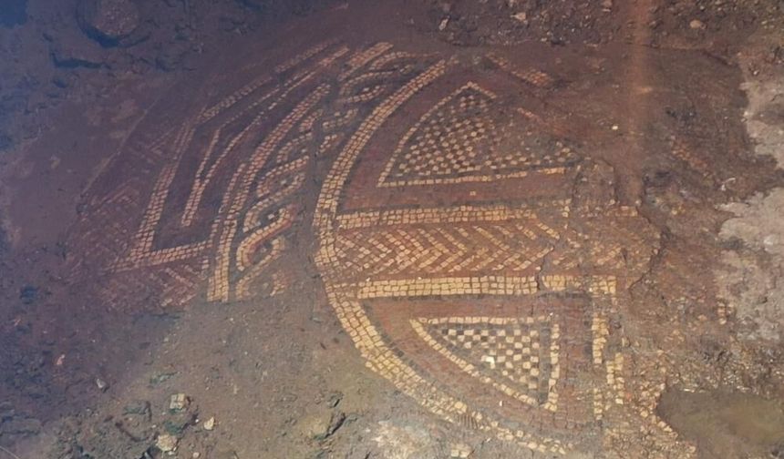 Mardin'de 1500 yıllık Roma mozaiği ele geçirildi