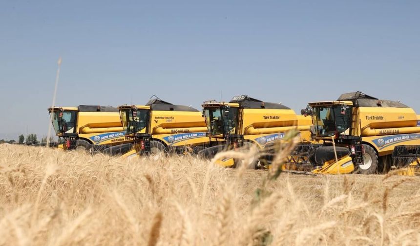 Muş'ta hububat hasadı başladı: 11 milyar liralık katkı bekleniyor