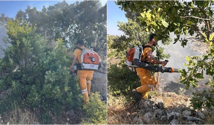 Diyarbakır'da orman yangınıyla zorlu mücadele